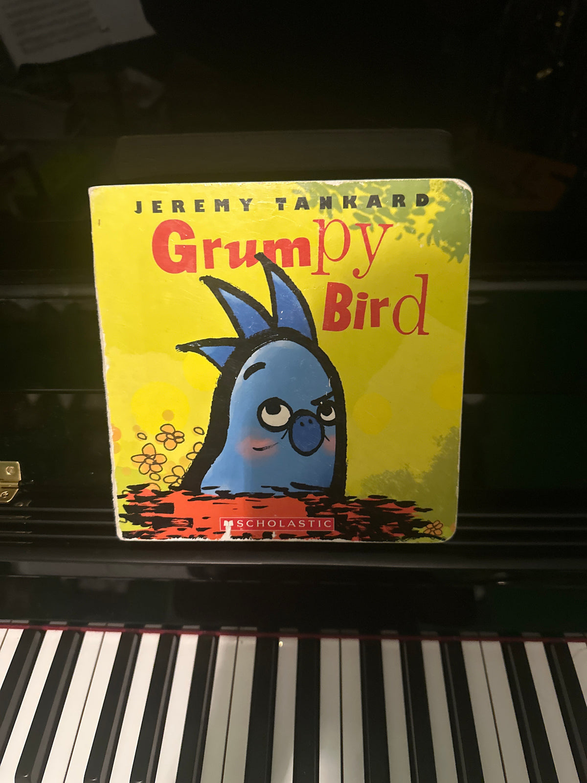 Grumpy Bird