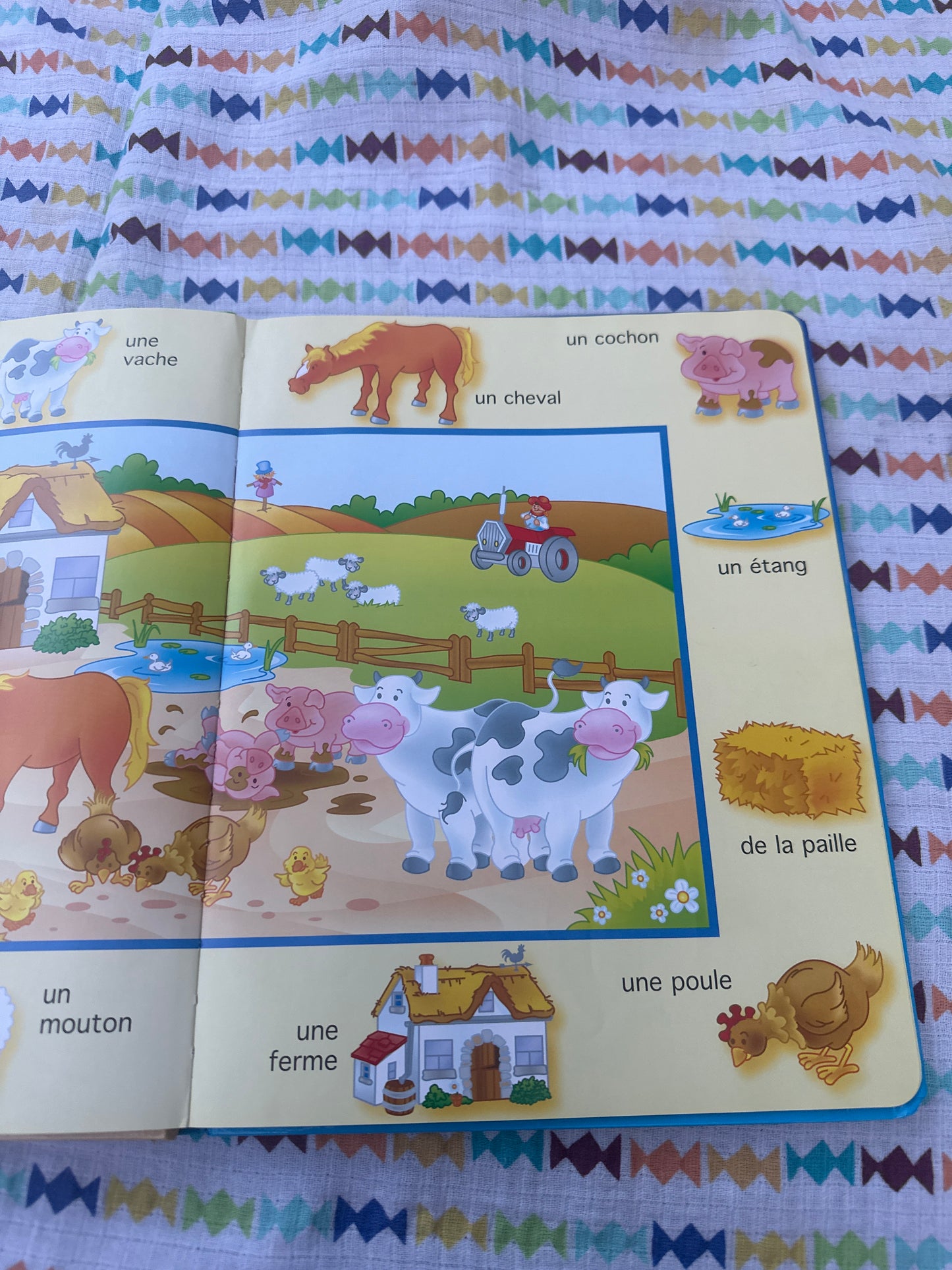 Mon dictionnaire en images