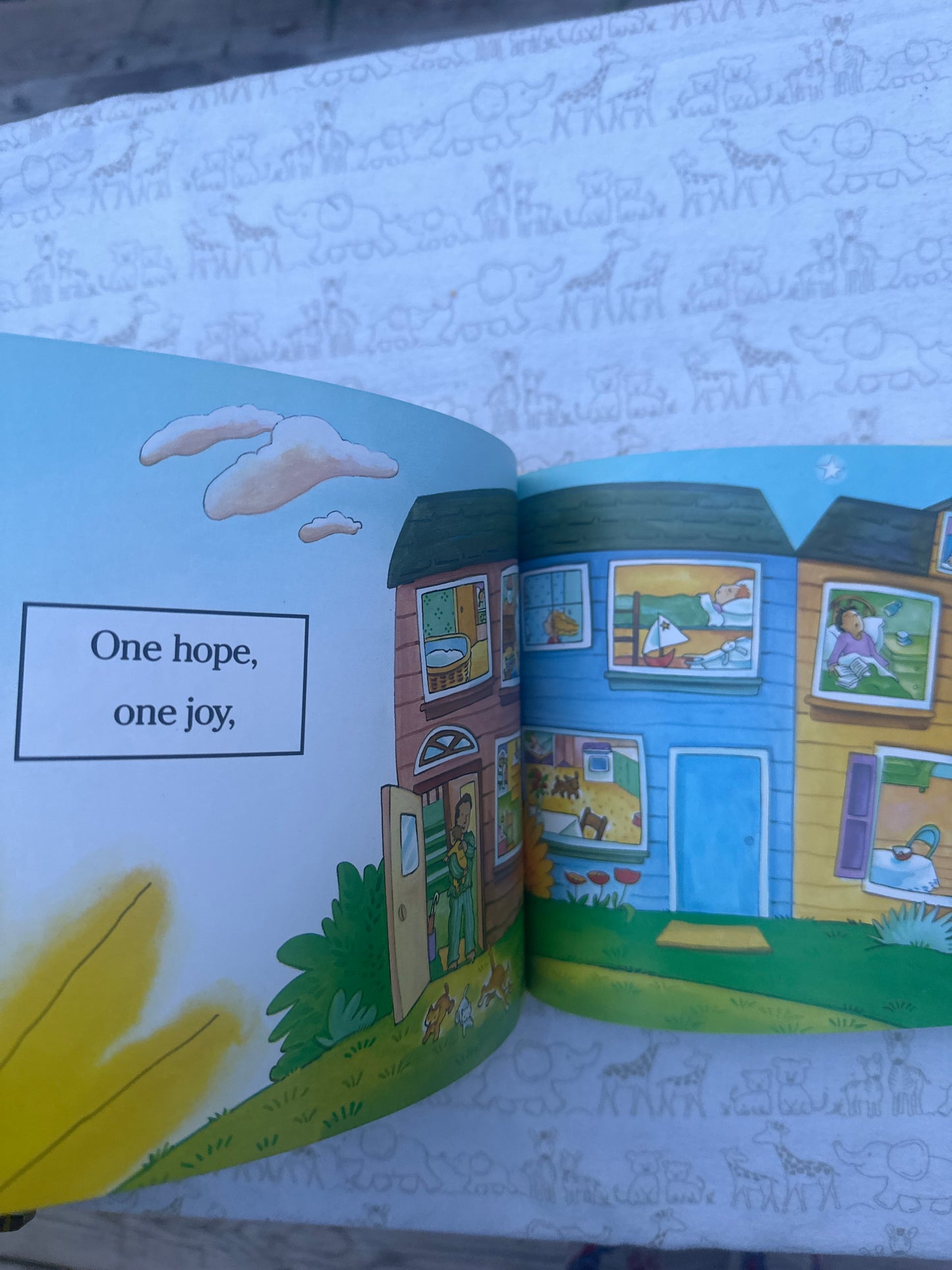 One Light, One Sun (Raffi, E. Fernandes illustrator)