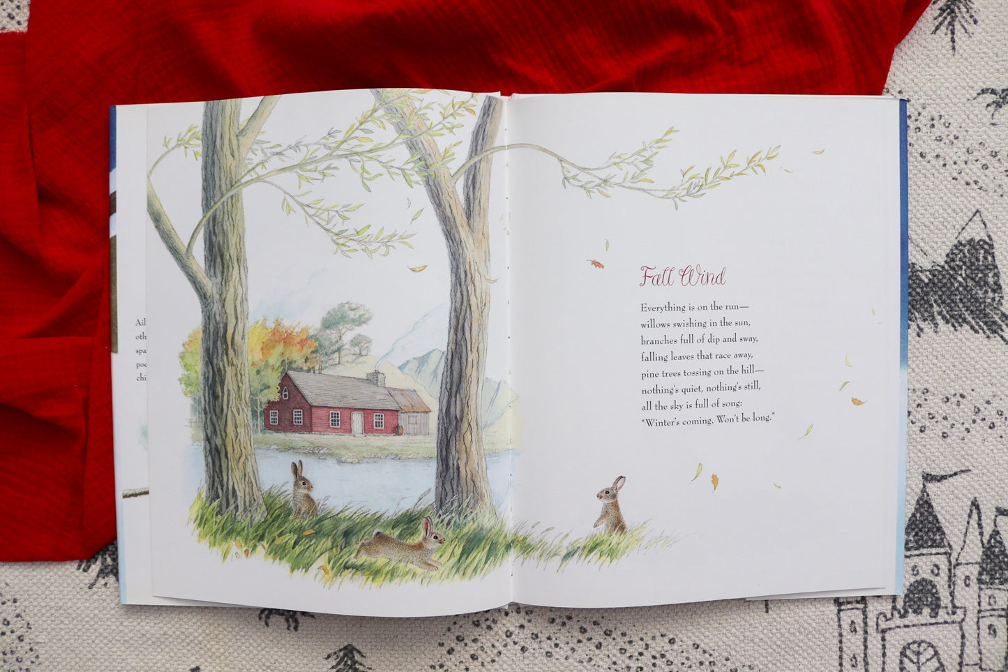 Do Rabbits have Christmas?