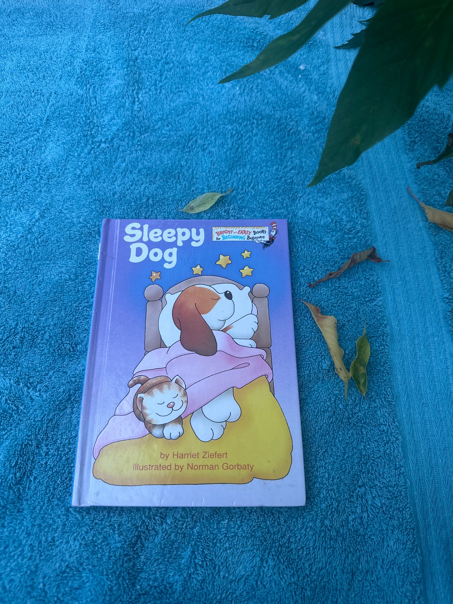 Sleepy Dog