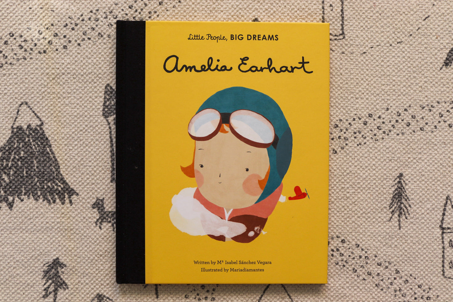 Little People, Big Dream Amelia Earhart