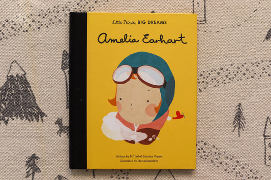 Little People, Big Dream Amelia Earhart