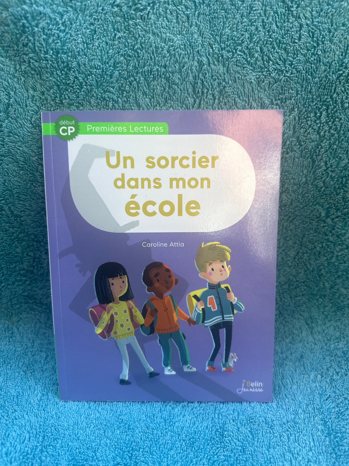 Un sorcier dans mon école
