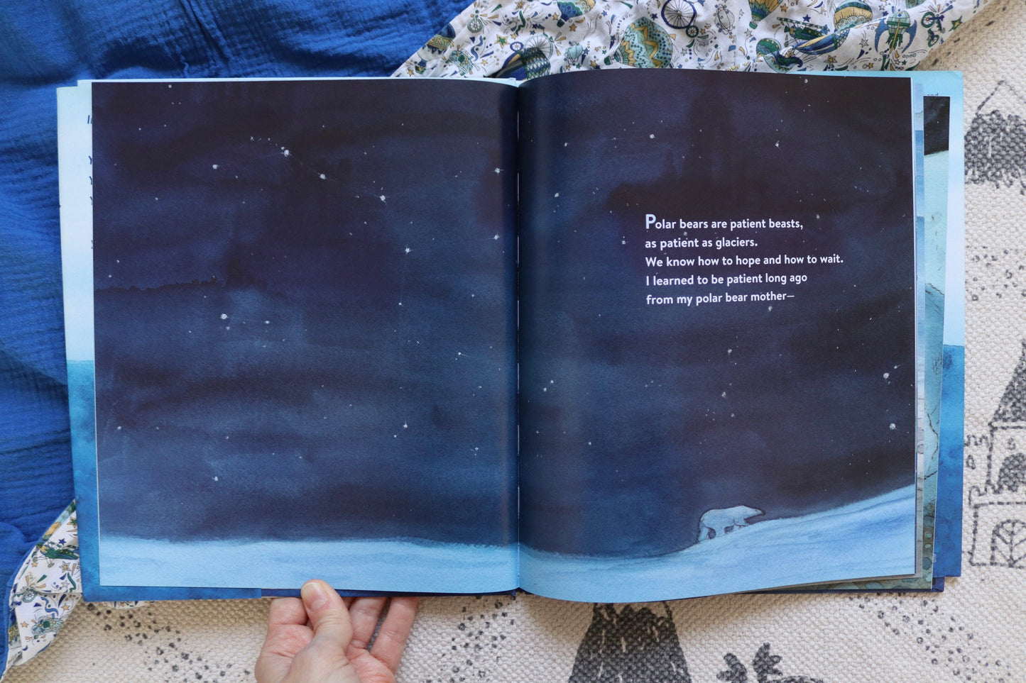 Sea Bear a journey for survival