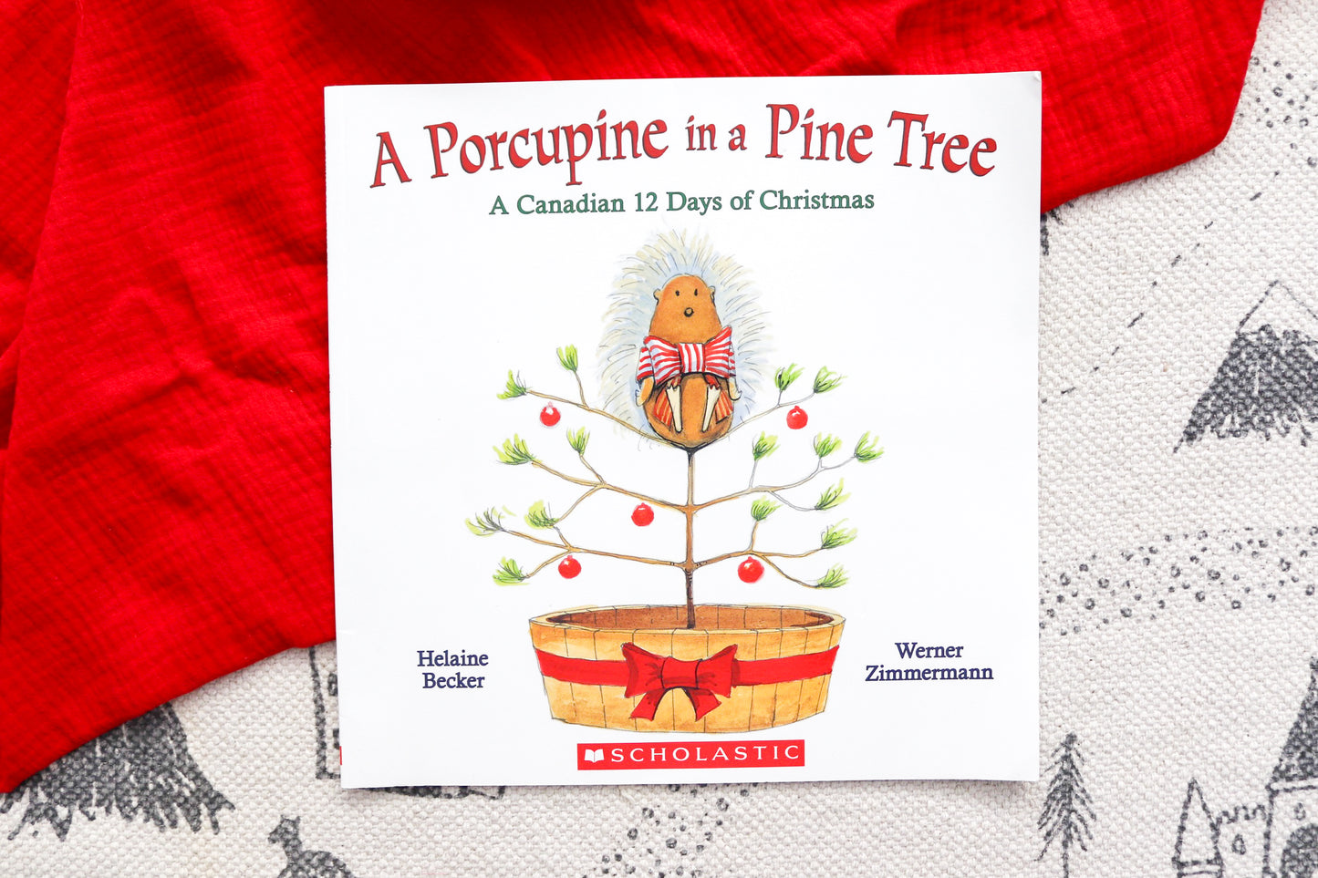 A porcupine in a pine tree