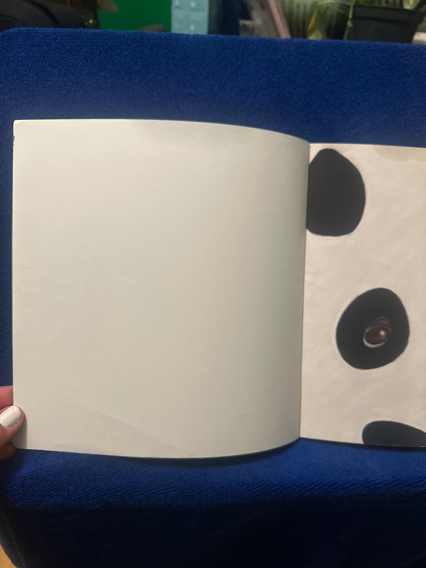 Papaye le panda