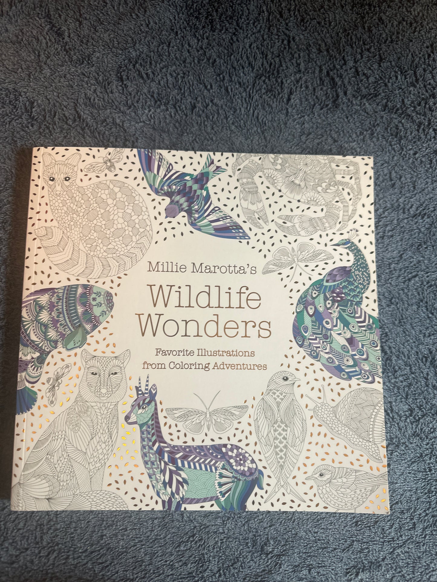Wildlife Wonders colouring