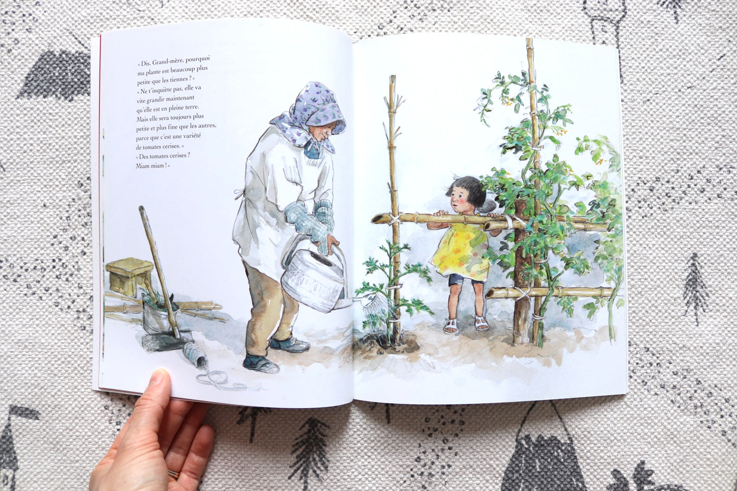 La fête de la tomate