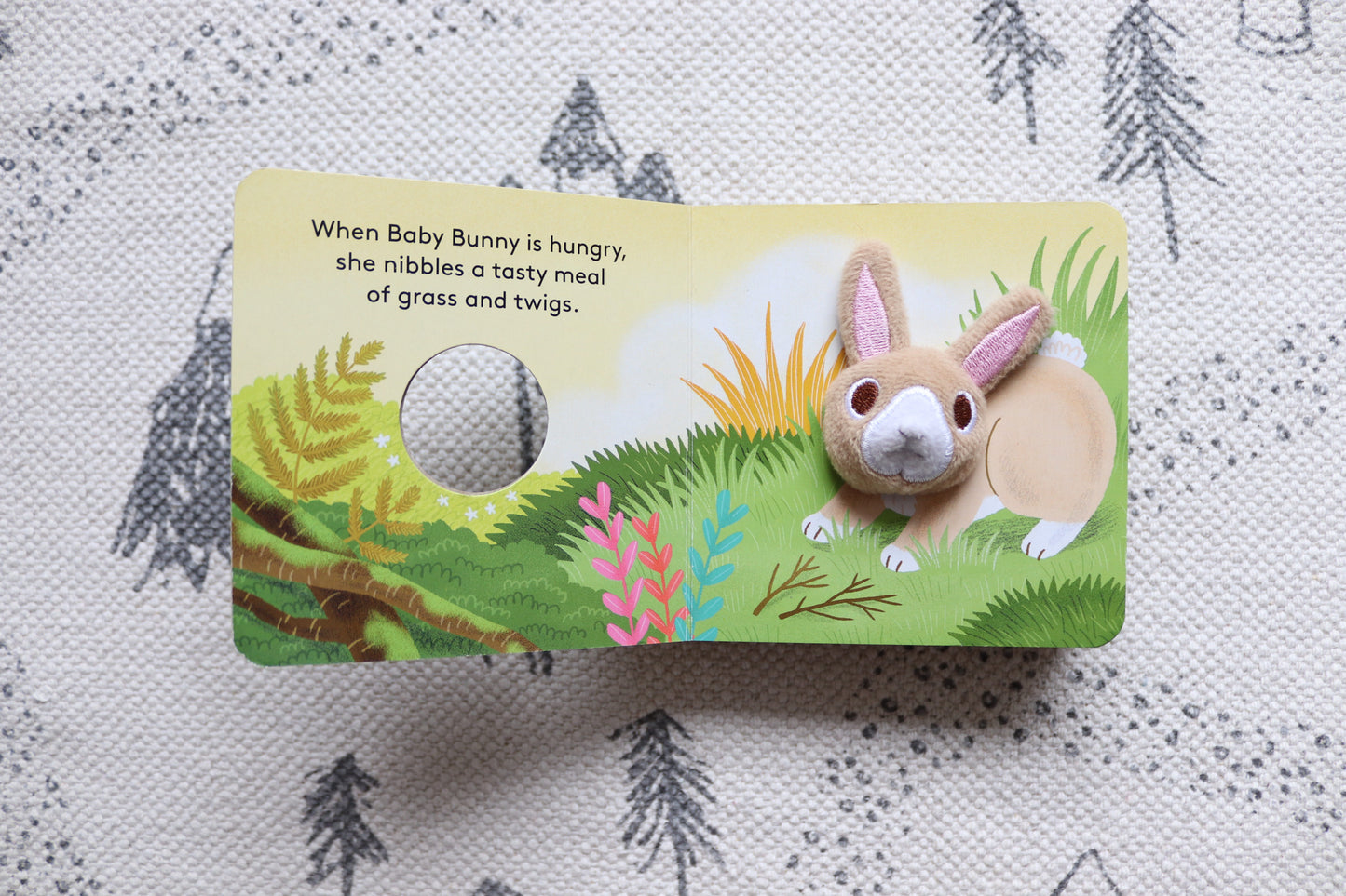 Baby bunny finger puppet book