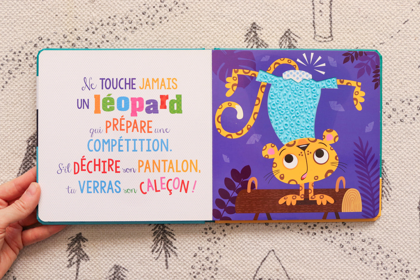 Ne touche jamais un panda!