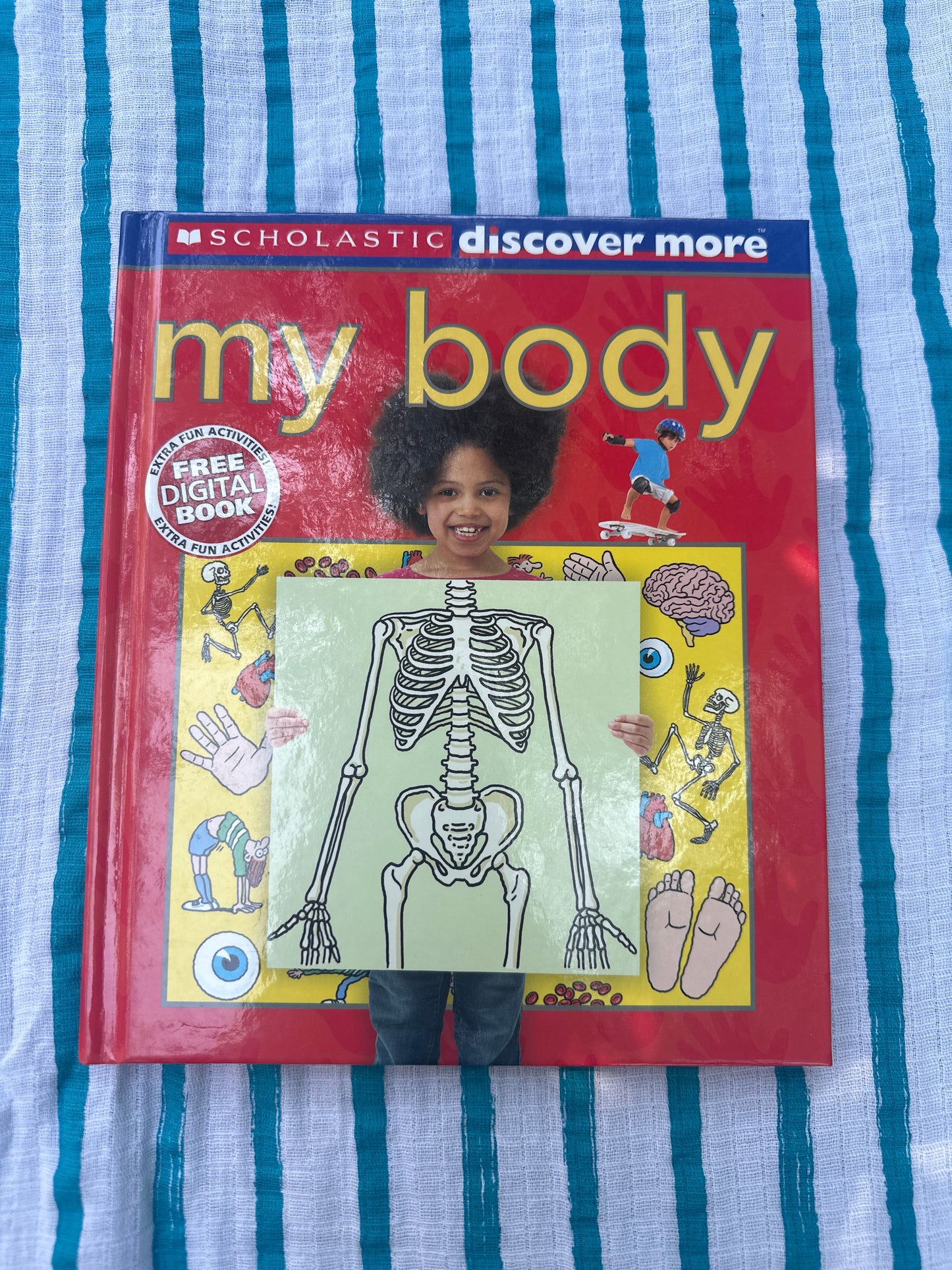 My body scholastic