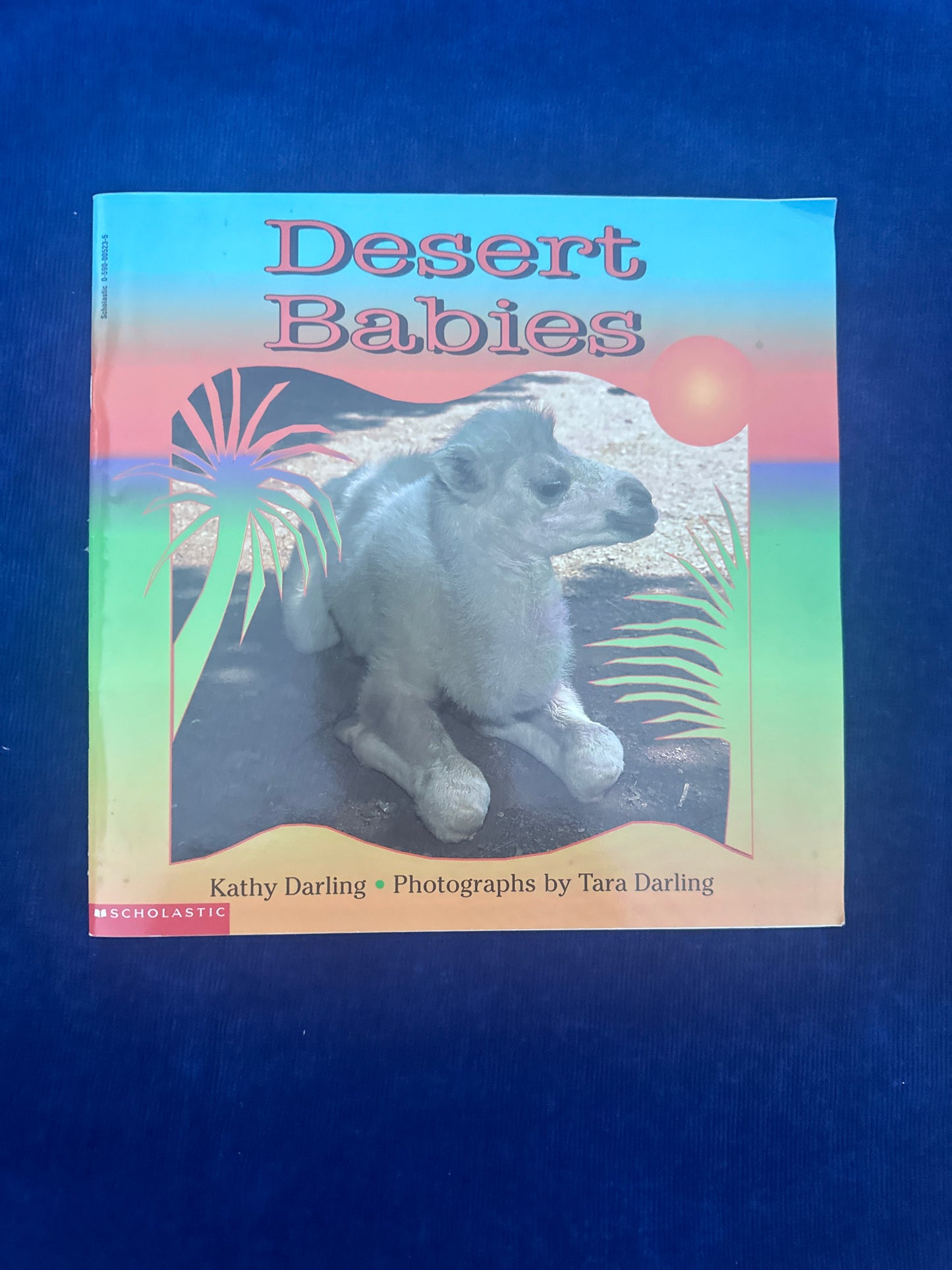 Desert Babies