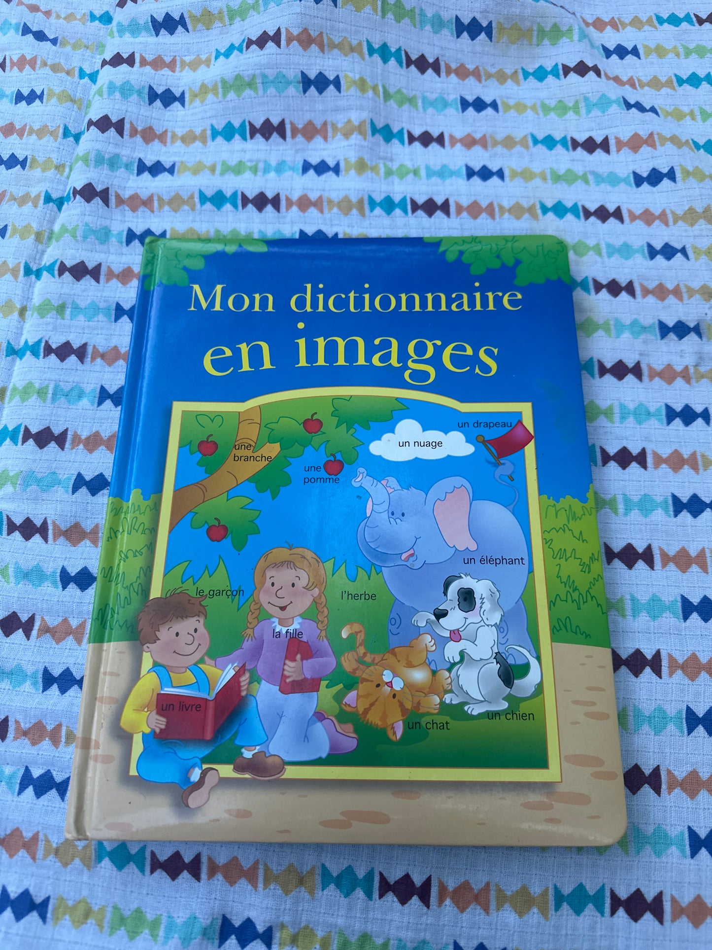 Mon dictionnaire en images
