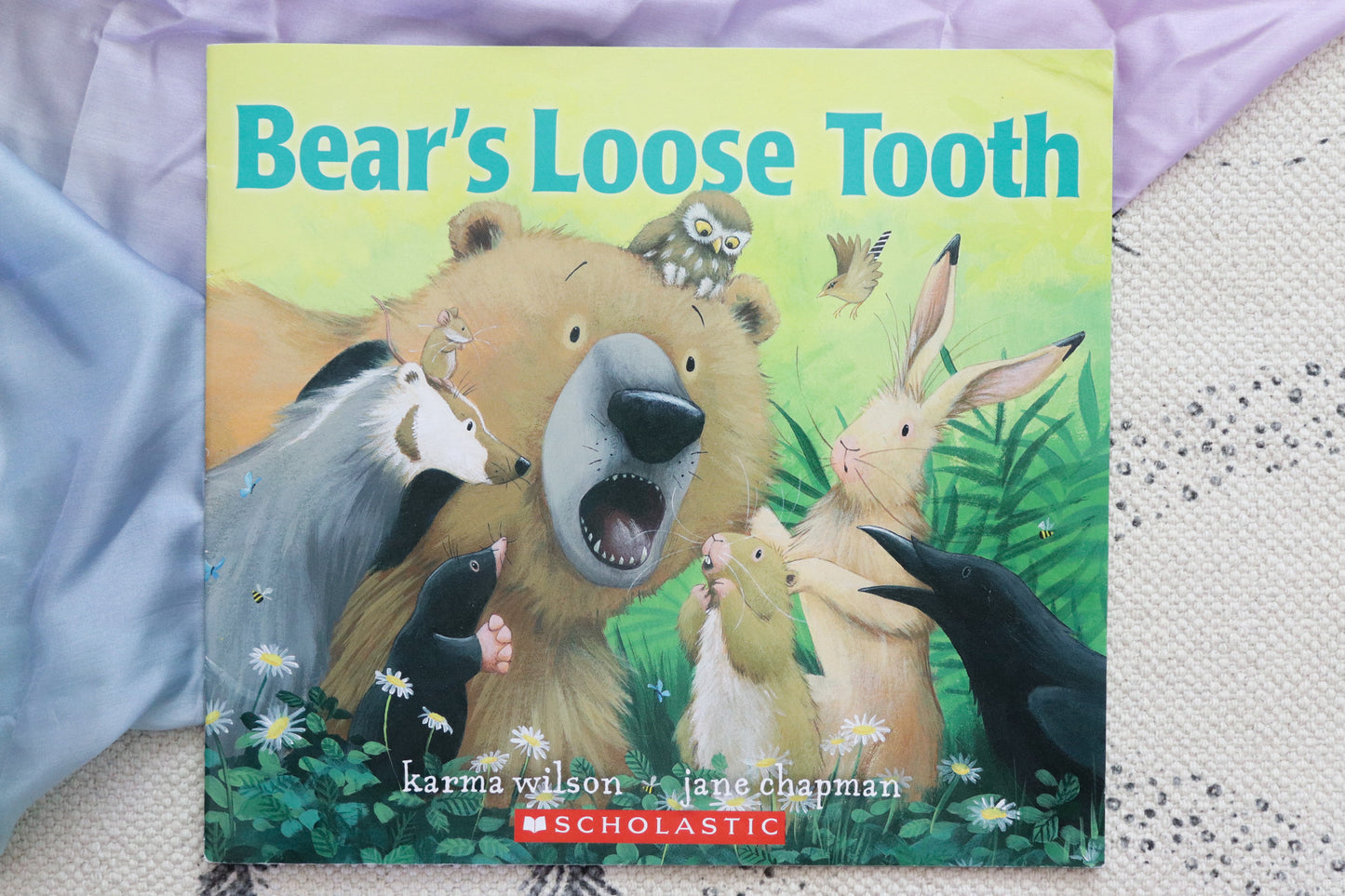 Bear's loose tooth