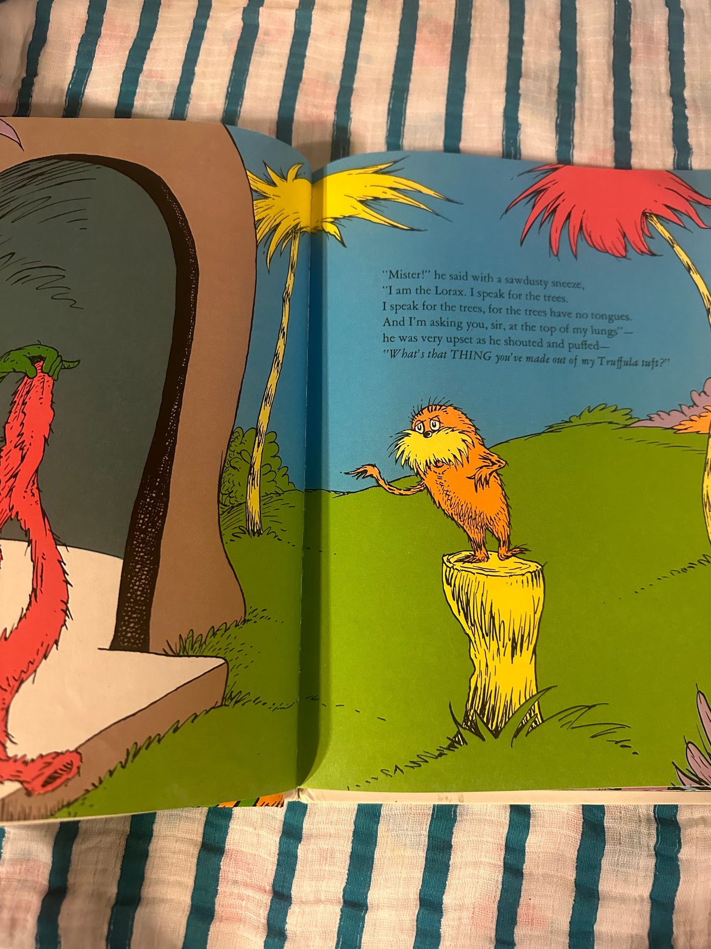 The Lorax Dr. Seuss