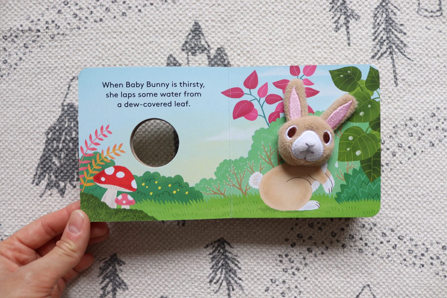 Baby bunny finger puppet book