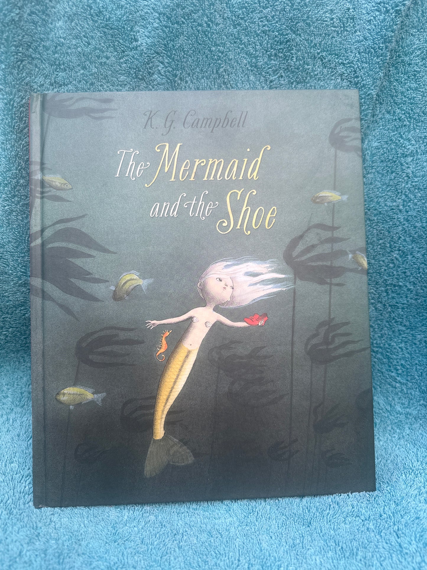 The Mermaid and the shoe 👞