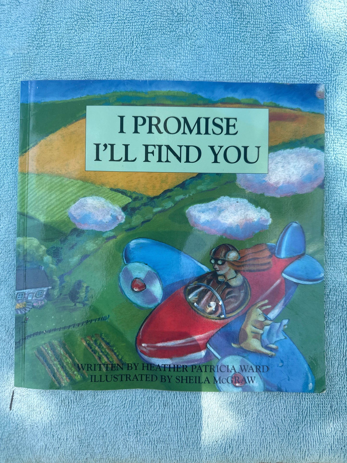 I Promise I’ll Find You