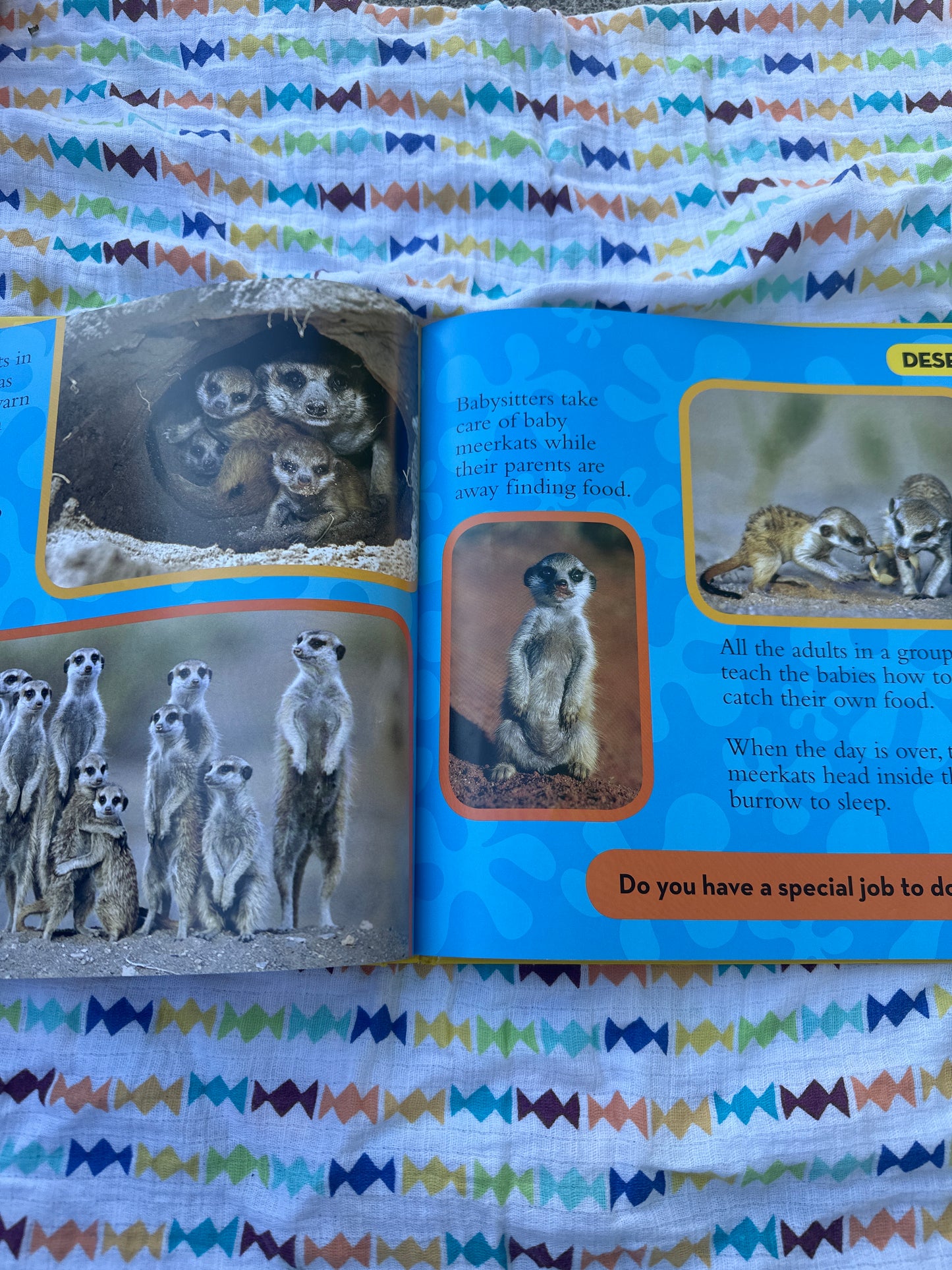 First big book of animals