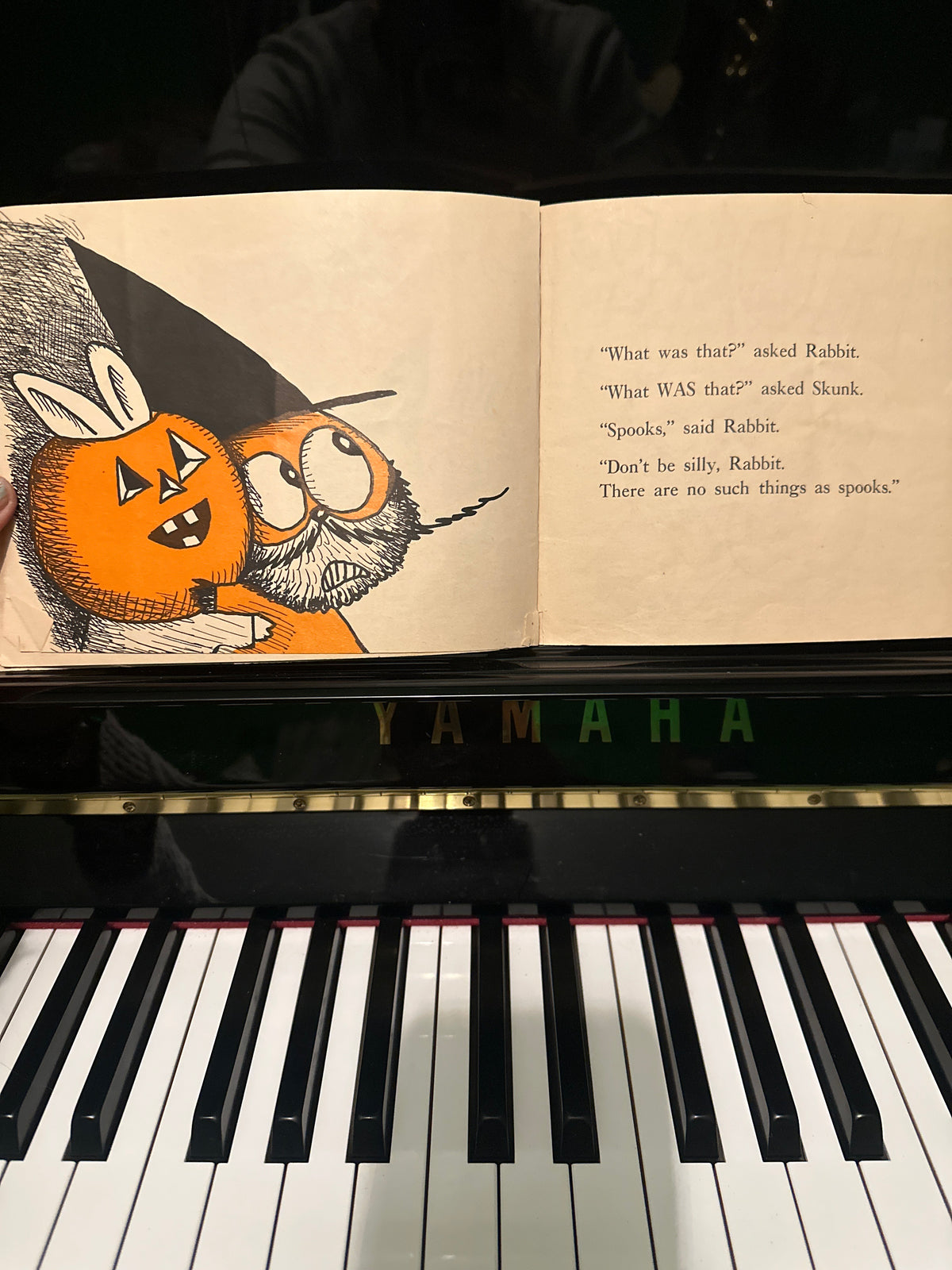 Rabbit and Skunk and Spooks