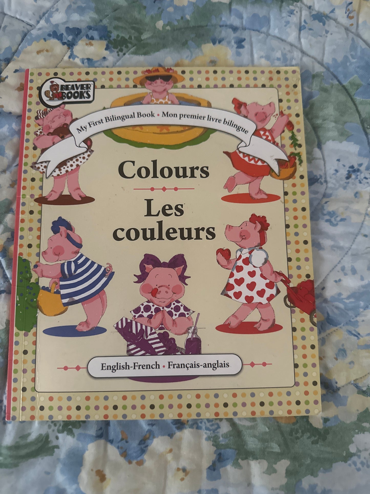 Les couleurs / colours