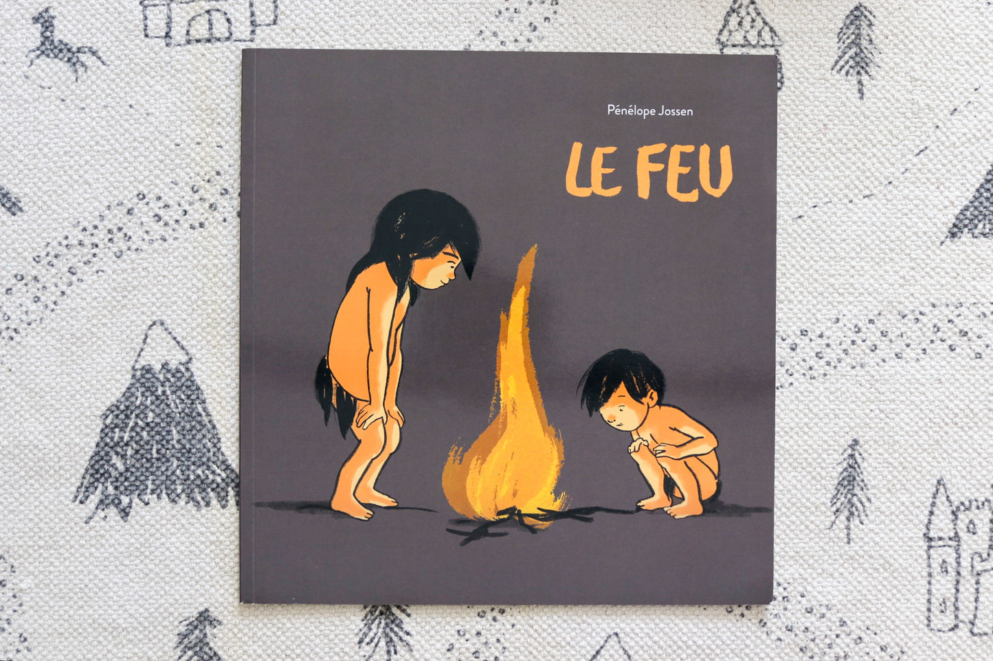 Le feu